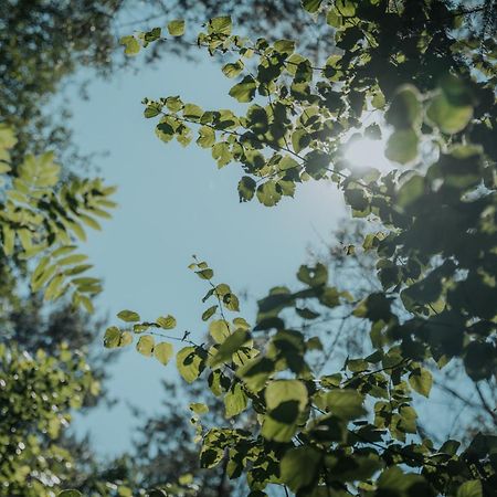 Forest Cabin - 50Min Od Warszawy Wola Polska ภายนอก รูปภาพ