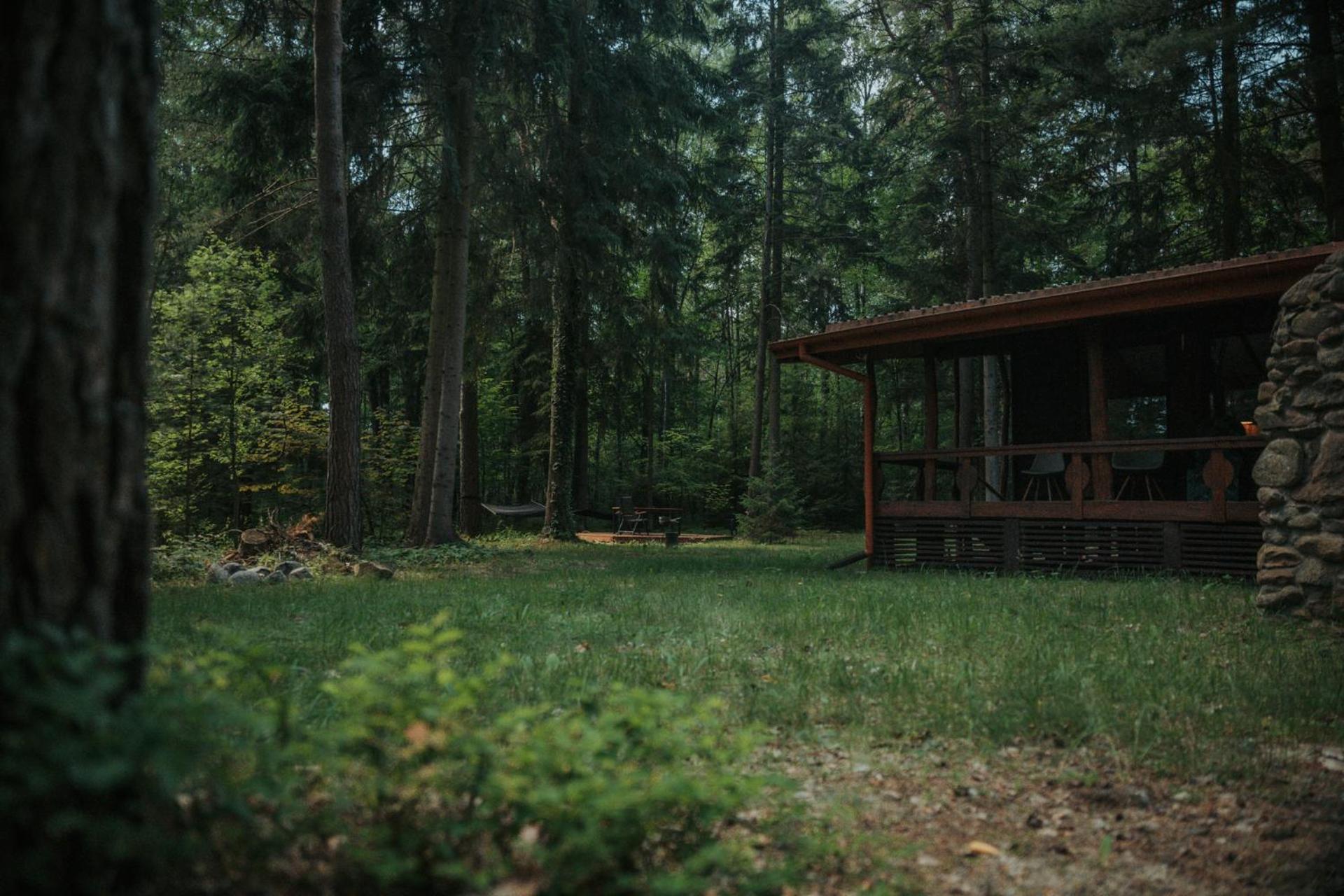 Forest Cabin - 50Min Od Warszawy Wola Polska ภายนอก รูปภาพ