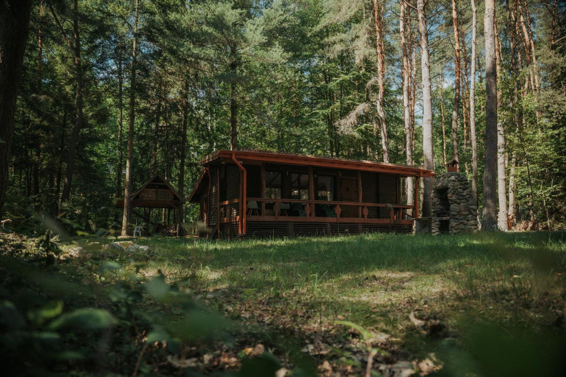 Forest Cabin - 50Min Od Warszawy Wola Polska ภายนอก รูปภาพ