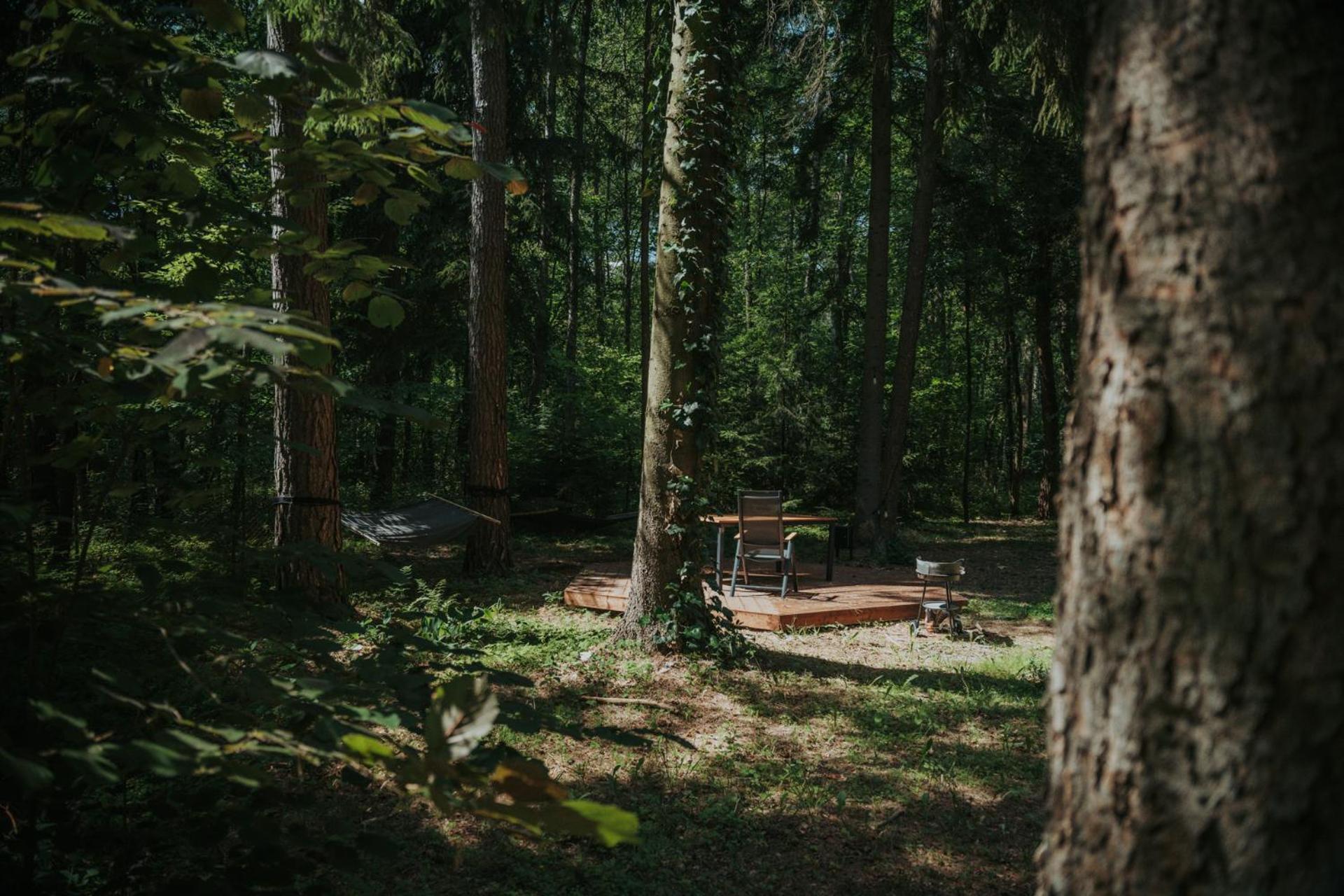 Forest Cabin - 50Min Od Warszawy Wola Polska ภายนอก รูปภาพ