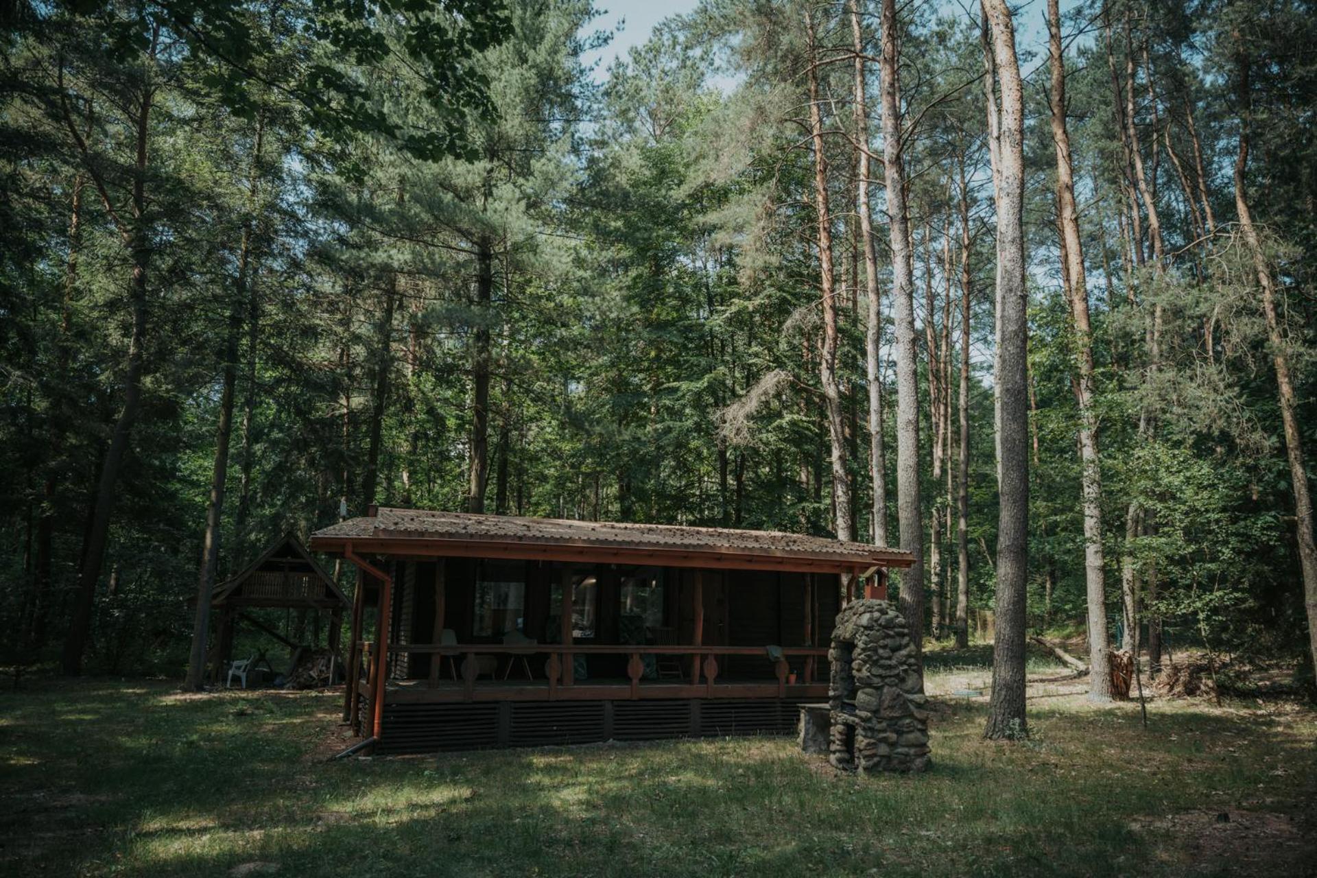 Forest Cabin - 50Min Od Warszawy Wola Polska ภายนอก รูปภาพ